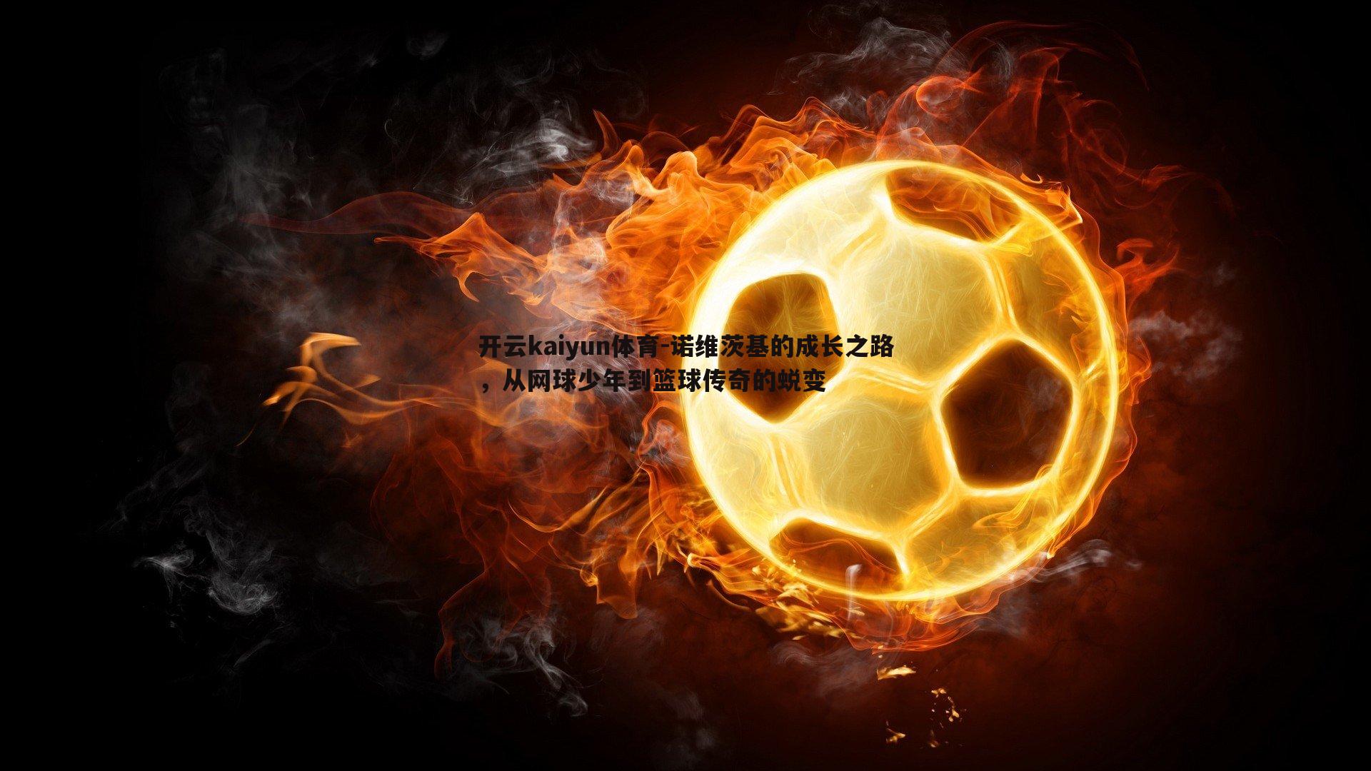 诺维茨基的成长之路,从网球少年到篮球传奇的蜕变